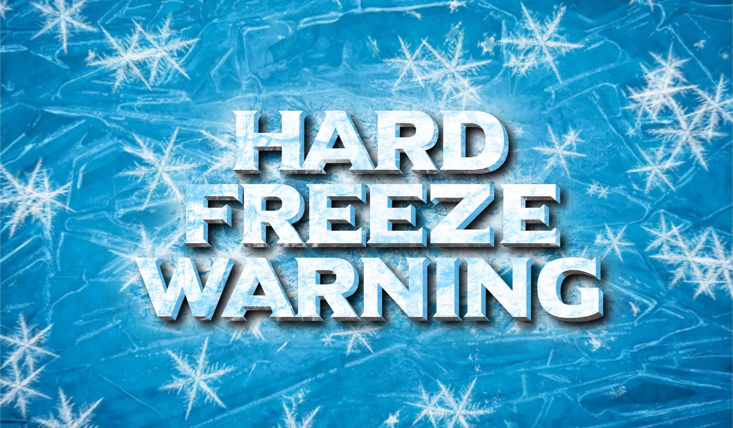 Prepare Your Backflow Device for a Hard Freeze